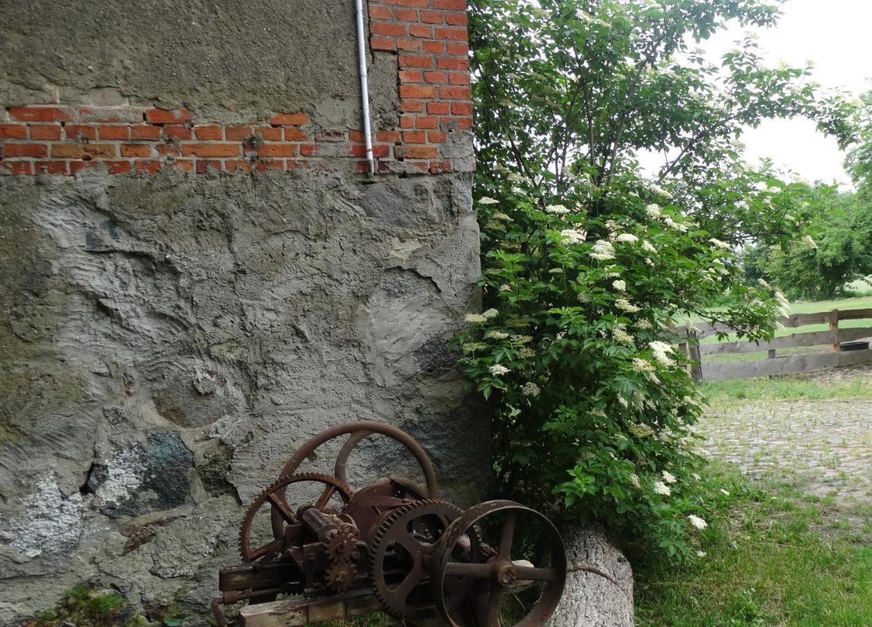 Bed and Breakfast Dom Na Mazurach Pilec Exterior foto