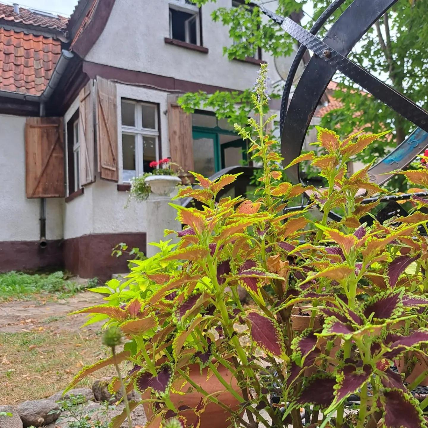 Bed and Breakfast Dom Na Mazurach Pilec Exterior foto