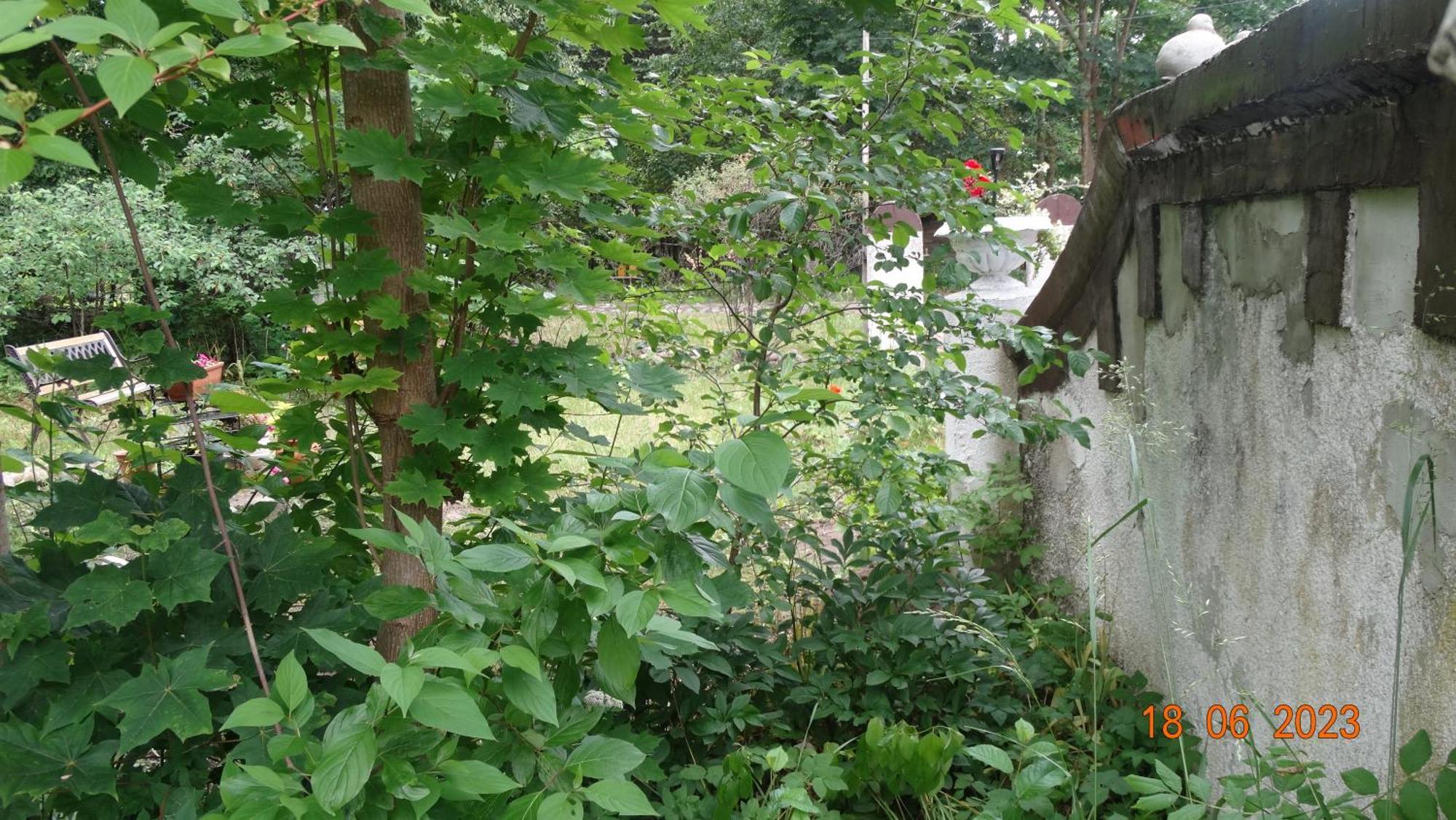 Bed and Breakfast Dom Na Mazurach Pilec Exterior foto