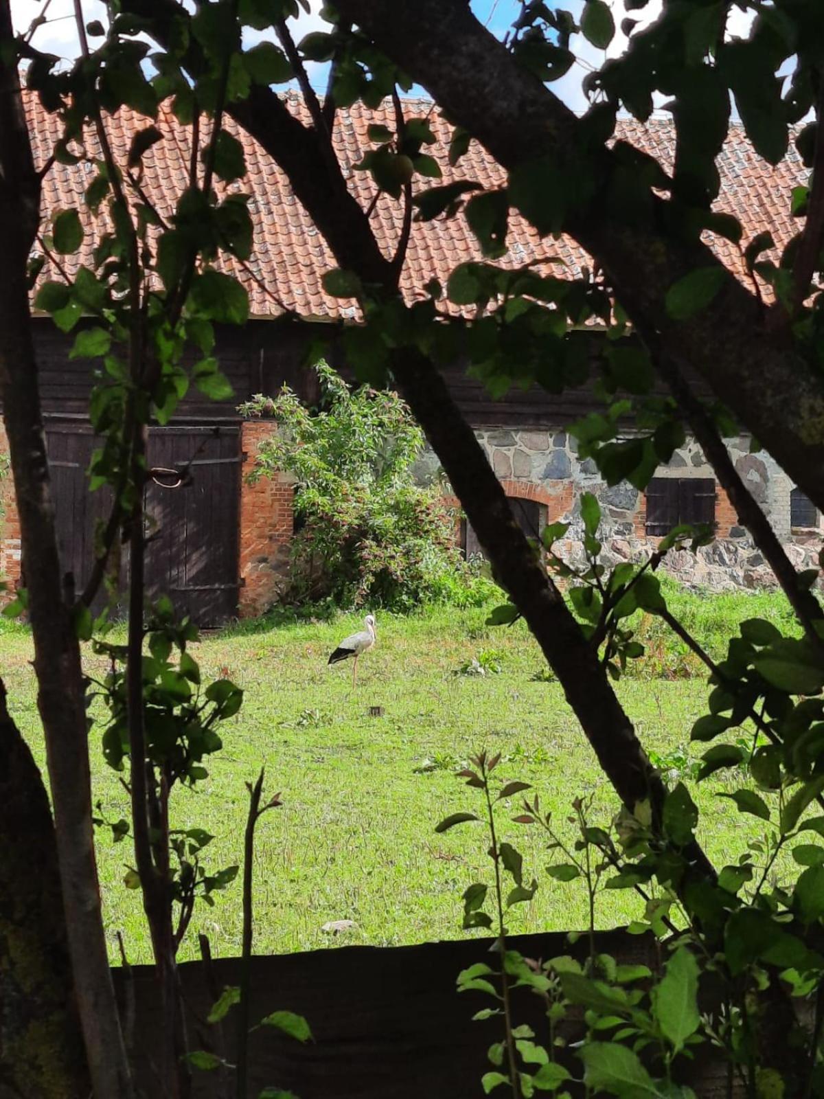 Bed and Breakfast Dom Na Mazurach Pilec Exterior foto